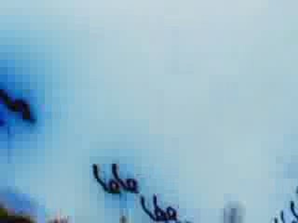 Reflekt Feat  Delline - Need To Feel Loved (Adam & Soha)