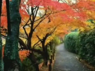 PROMENADE D'AUTOMNE - JP