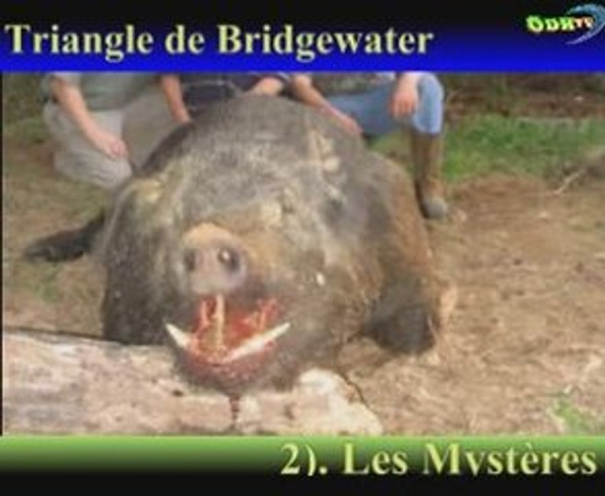 2). Les Mystères