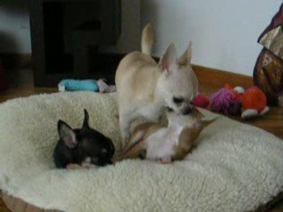 Anaïs et Zoé le 24 mars 2009 DSCN0330