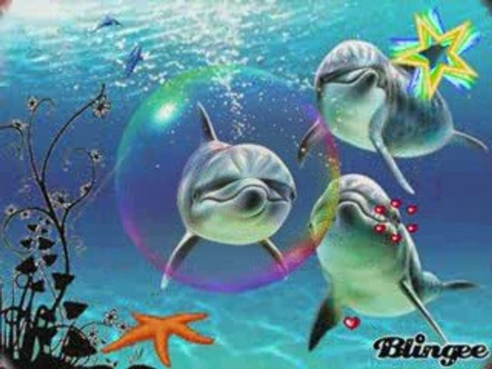 Le delir avec les animaux_0001