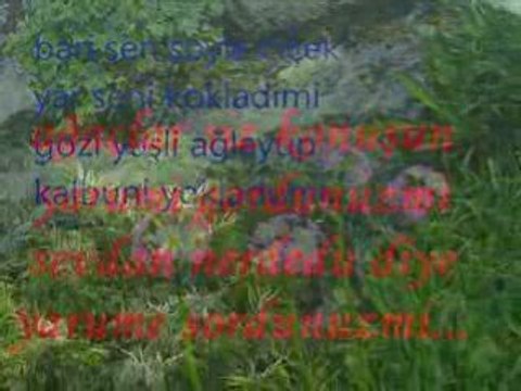 rize yaylaları