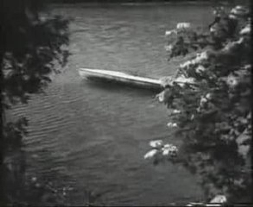 Konrad lorenz, graugÃ¤nse