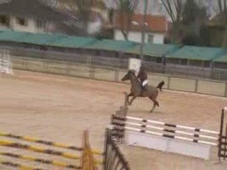 Percute du Murger Lent 1