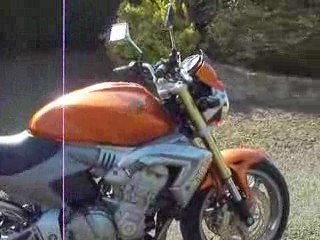 Honda Hornet Wakizashi avec Devil