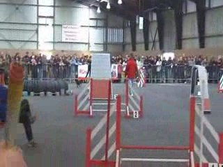 Vodka-GPF Rennes Cesson