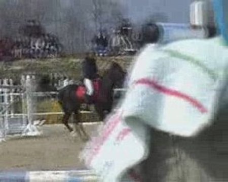 Premier concours en E2 CSO