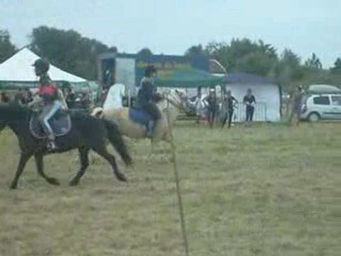 2 tasses le 15 juin 2008 pony games