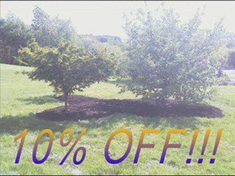 WESTMINSTER MD MULCH http://philslawncare.com/