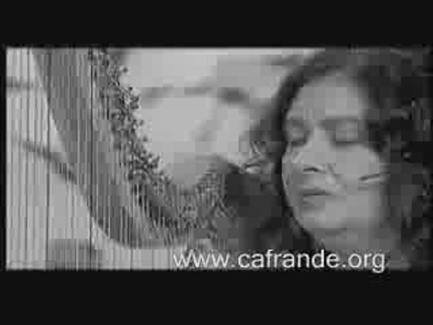 Tara Caf, Tara Jaff - Malan Bar Kır - cafrande.org