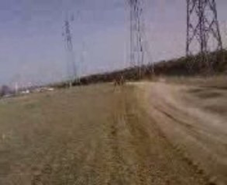 250yz