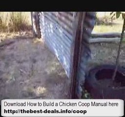 How To Build a Backyard Chicken Coop