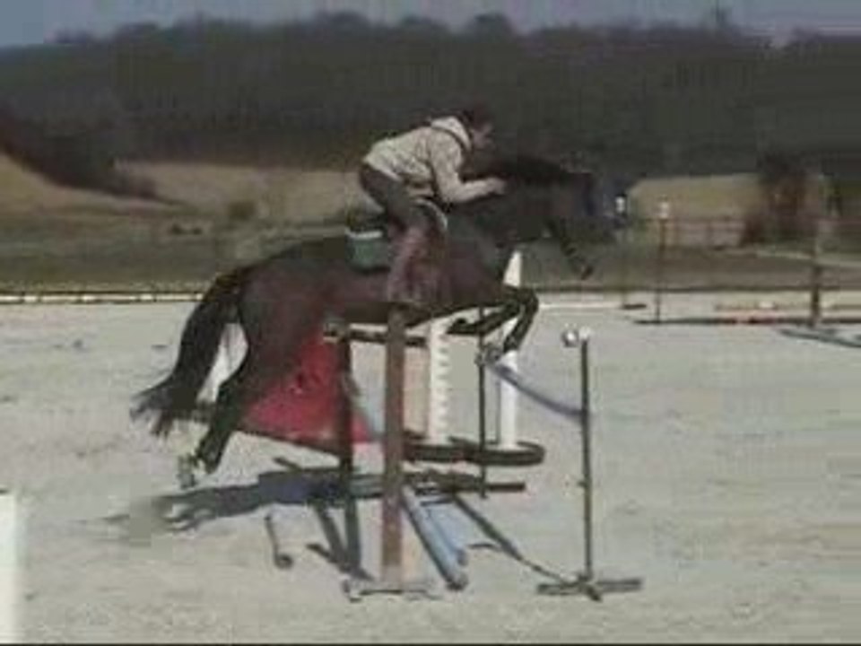 Roni de pré feiges sf 3 ans par quidam de revel