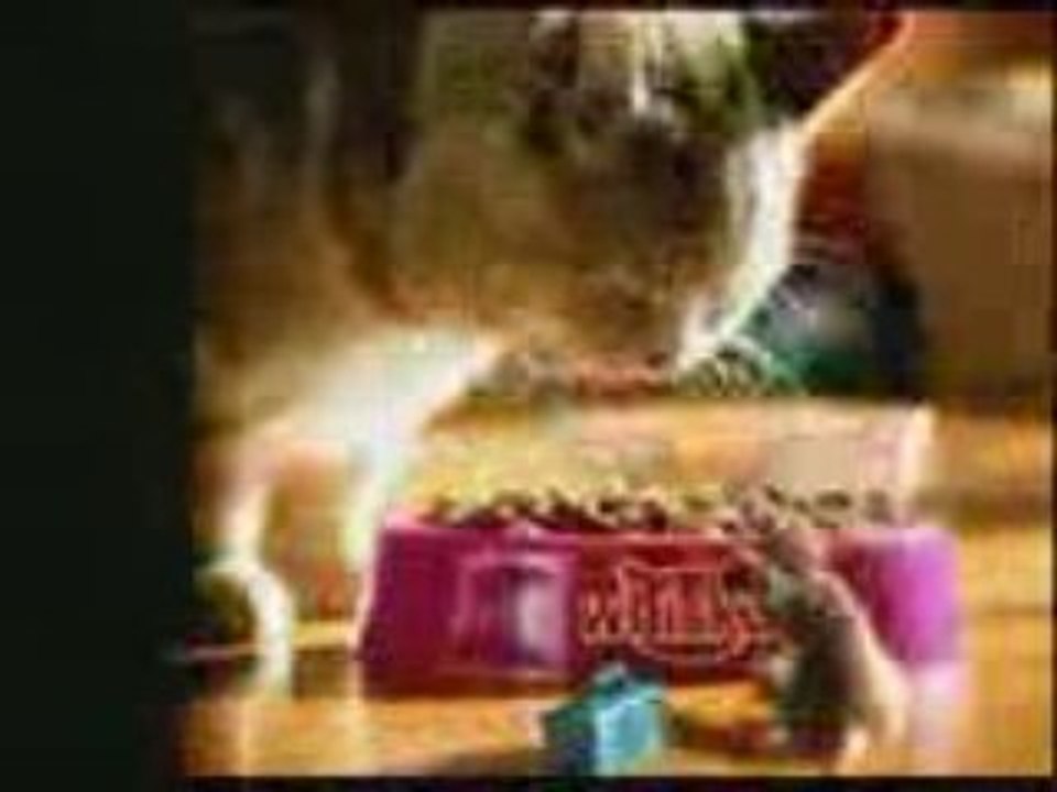 chat