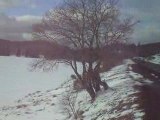 Massif du Sancy: Le lac de Guéry