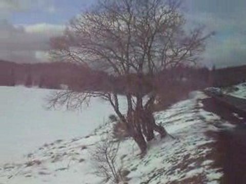 Massif du Sancy: Le lac de Guéry