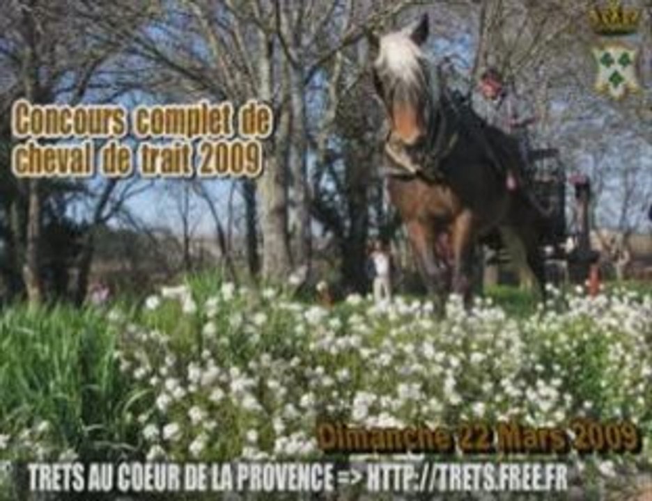 Concours cheval de trait 22 MARS 2009