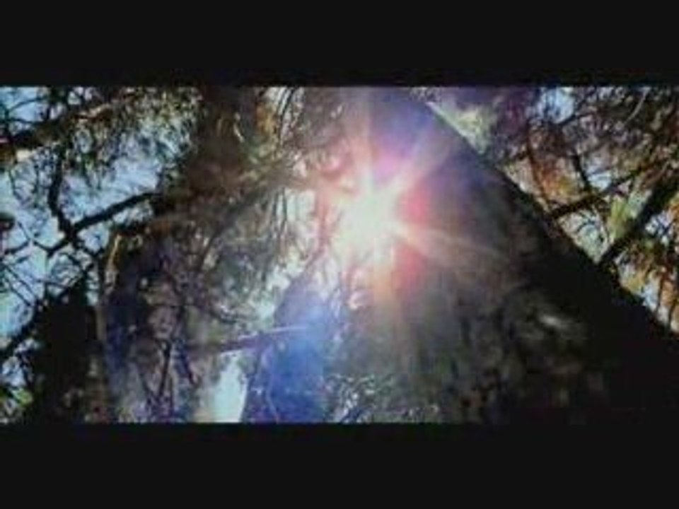 DADDY MORY -proteger la terre mère
