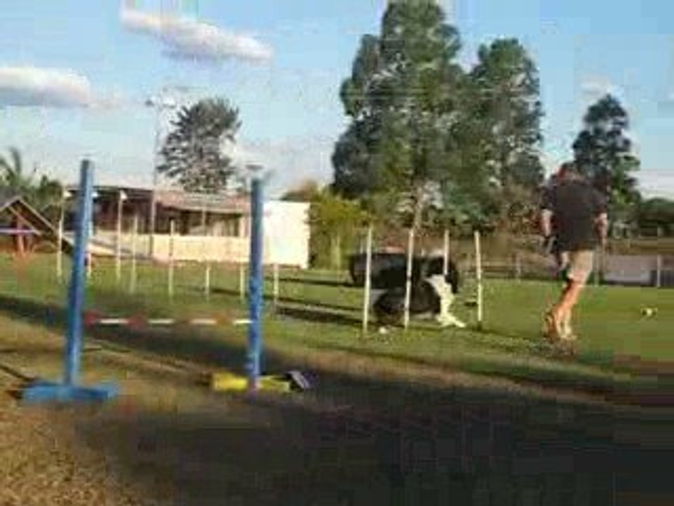 RSPCA Qld Animal Training Centre Agility Course
