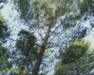 2x2 les mystères du monde des animaux