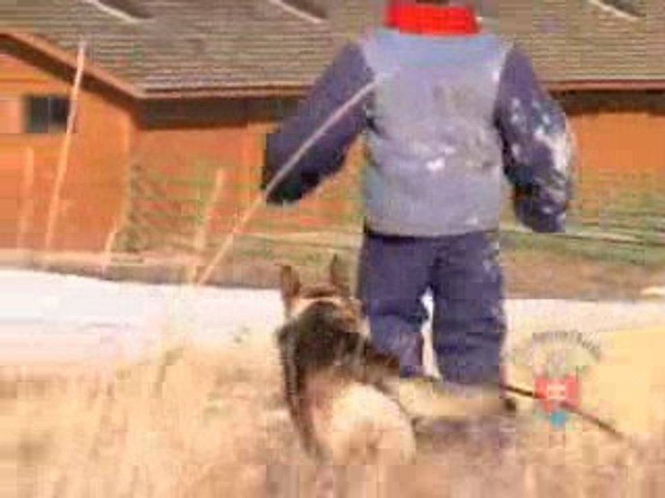 CQBK9 TeaserIntro copy