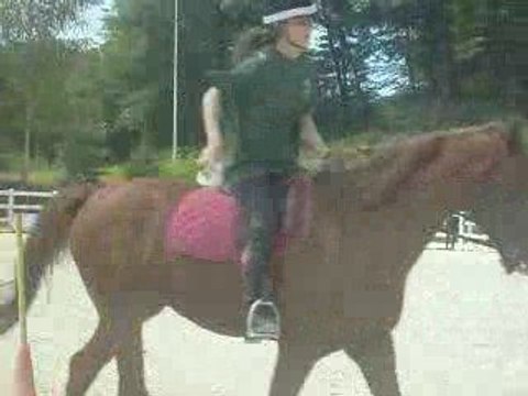 2 tasses le 29 juin 2008 pony games