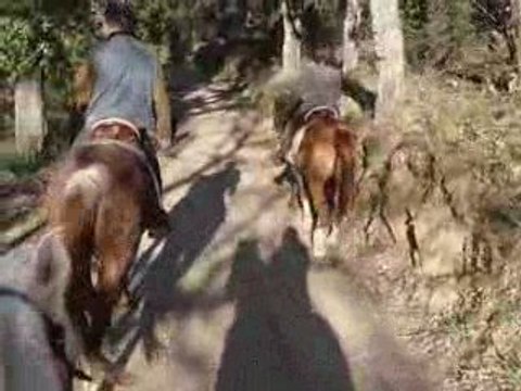 à cheval sur les pistes du massif des maures