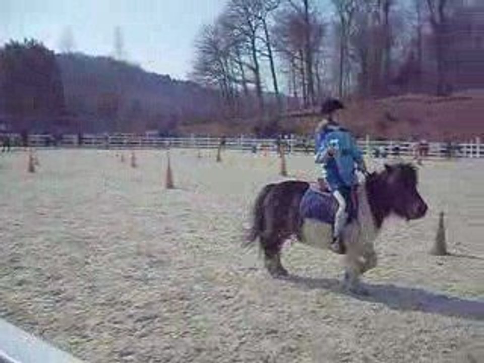 2 tasses le 22 mars 2009 pony games