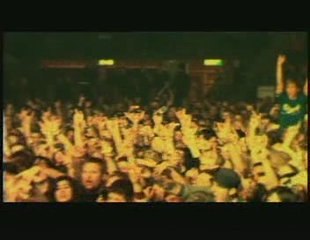 IN FLAMES - Delight And Angers