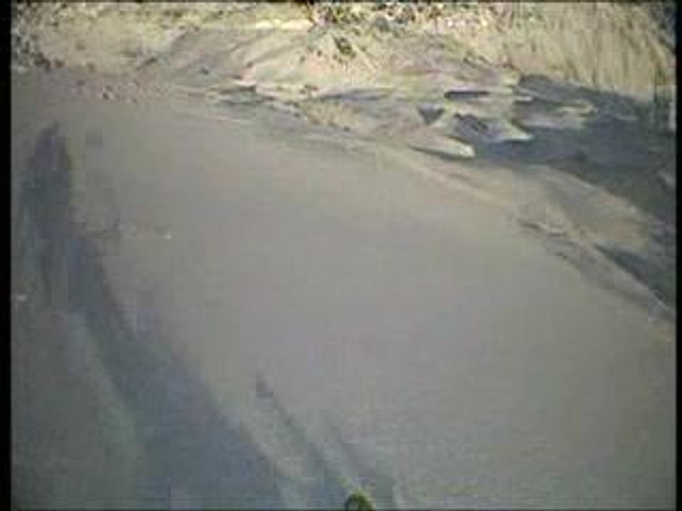 Avalanche ski