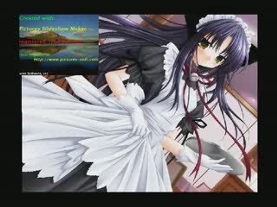 amv manga animaux ranma