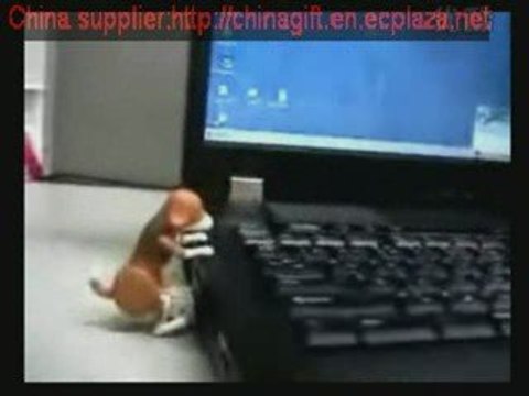 USB humping dog