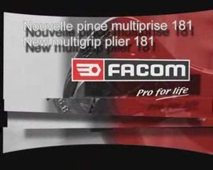 Pince multiprise - 181