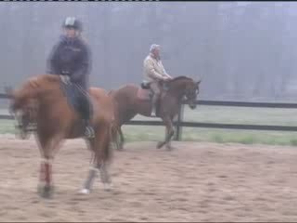 09-03-22 Dressage en stage