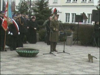 Kot rozśmieszył prezydenta Kotowskiego