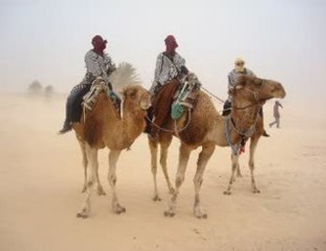Vacances en Tunisie-Djerba