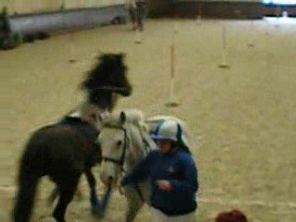 8.02, A pieds à poney