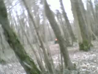 petit tour en 200 blaster