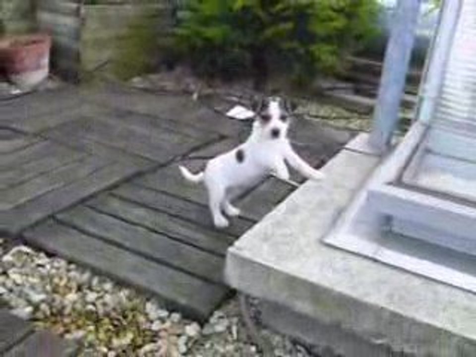 Jackette Emma sur sa terrasse