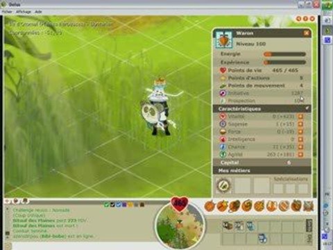 Dofus: Waron lvl 100