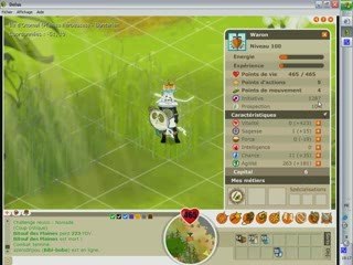 Dofus: Waron lvl 100