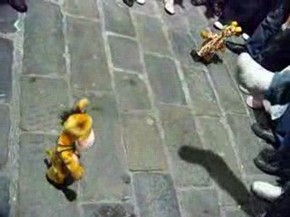 Girafe ou cheval ? x')