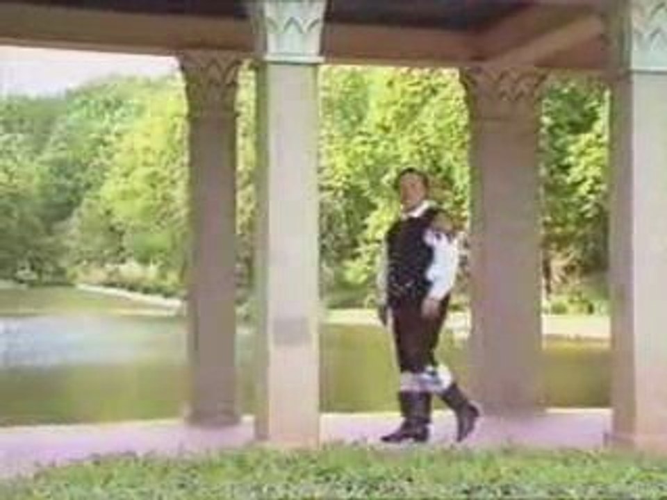 Alfi Nipič in njegovi muzikanti - Rad bi prebujal se s teboj