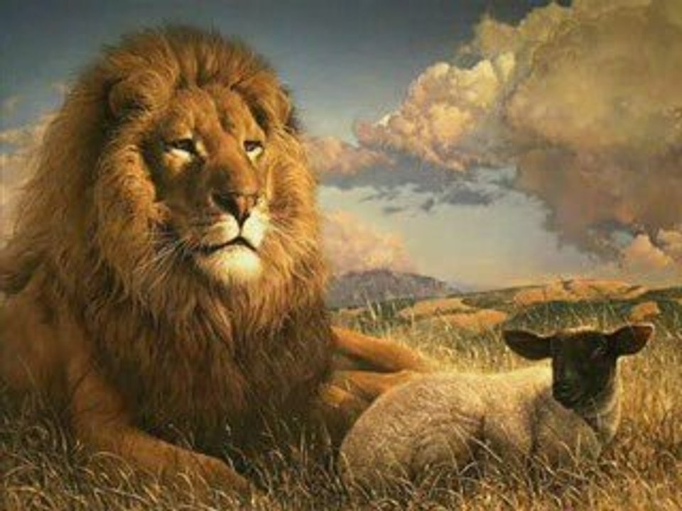 Midnite - Lamb that Lion for all