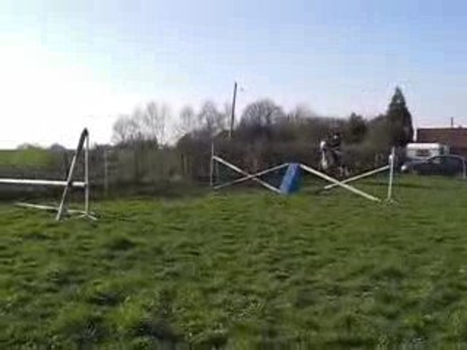 olly saut galop
