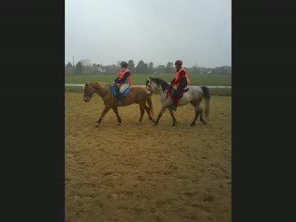 Endurance 2203
