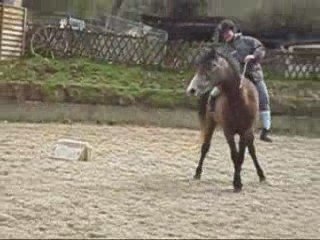 RAMSES - MONTER LIBERTE + PHOTOS MINI DEMO