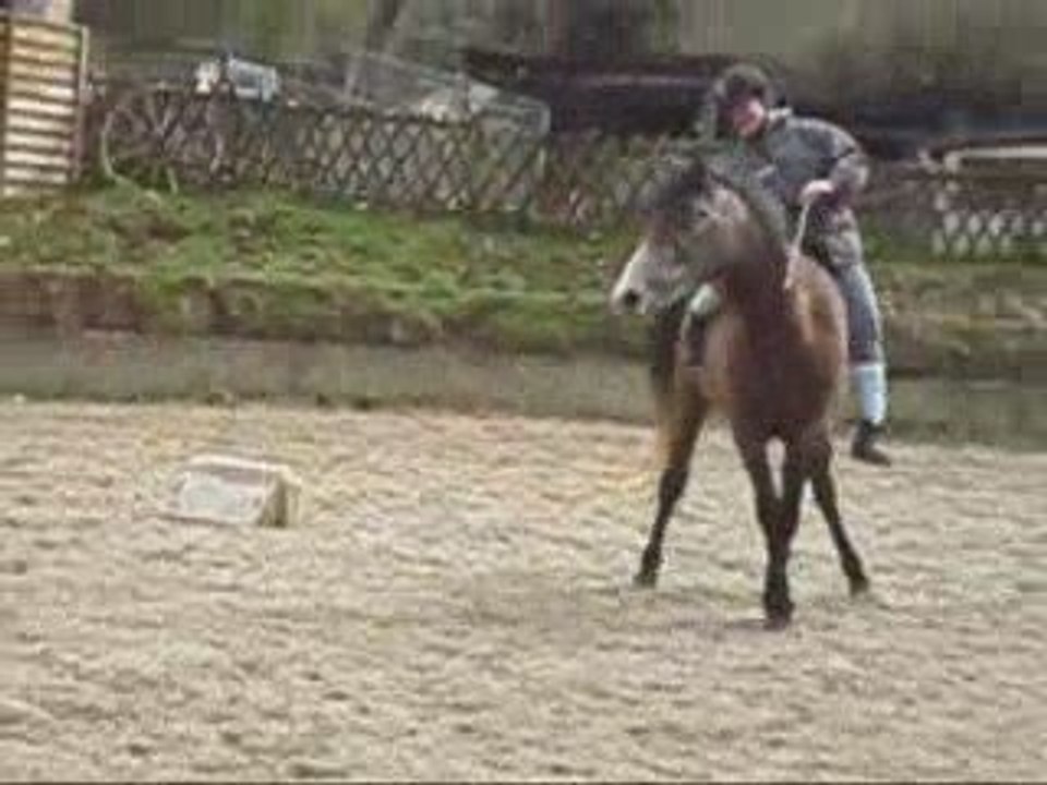 RAMSES - MONTER LIBERTE + PHOTOS MINI DEMO