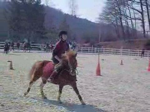 Slalom le 22 mars 2009 pony games