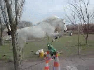 Lou et bouki cso 020